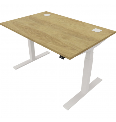 Schreibtisch eModel 2.0, elektrisch höhenverstellbar, 65-130cm (H), 120x80cm (BxT), rechteckig, hickory / weiß