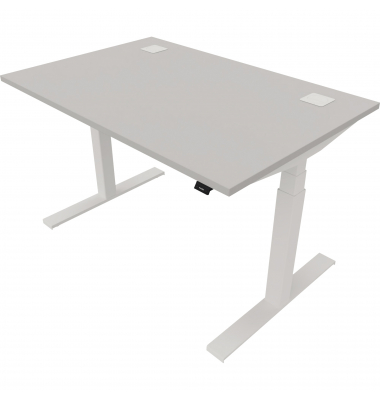Schreibtisch eModel 2.0, elektrisch höhenverstellbar, 65-130cm (H), 120x80cm (BxT), rechteckig, platinum / weiß
