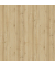 Schreibtisch eModel 2.0, elektrisch höhenverstellbar, 65-130cm (H), 140x80cm (BxT), rechteckig, buche / jet schwarz
