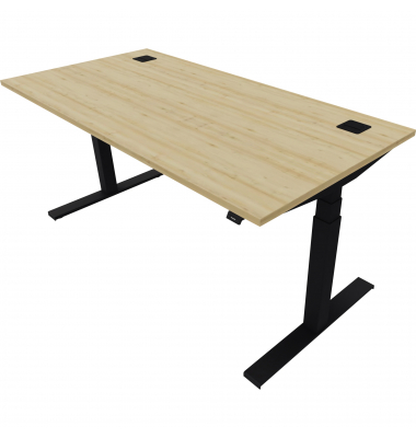 Schreibtisch eModel 2.0, elektrisch höhenverstellbar, 65-130cm (H), 160x80cm (BxT), rechteckig, buche / jet schwarz