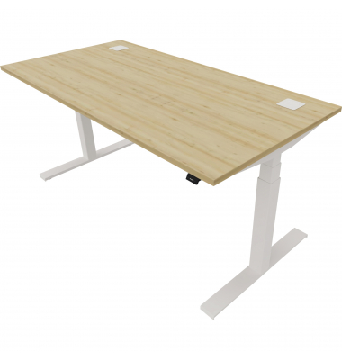 Schreibtisch eModel 2.0, elektrisch höhenverstellbar, 65-130cm (H), 160x80cm (BxT), rechteckig, buche / weiß