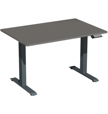 Schreibtisch Elevate Basic, elektrisch h&ouml;henverstellbar, 73-123cm (H), 120x80cm (BxT), rechteckig, onyx / anthrazit
