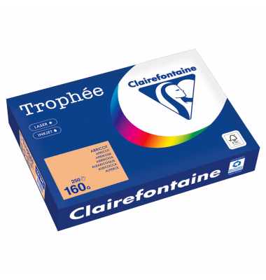Kopierpapier Trophee 1011PC aprikose A4 160g 