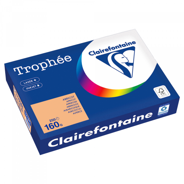 3329680002300 - Kopierpapier Trophee 1011PC aprikose A4 160g 250 Blatt 3329680002300 250 Blatt