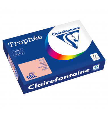 Kopierpapier Trophee 1049PC pfirsich A4 160g 