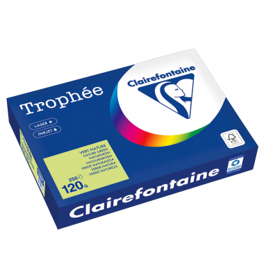 Kopierpapier Trophee 1228PC naturgrün A4 120g Kopierpapier Trophee 1228PC naturgrün A4 120g
