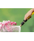 Gartenbrause