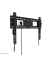 TV-Wandhalterung WL30-750BL16 schwarz
