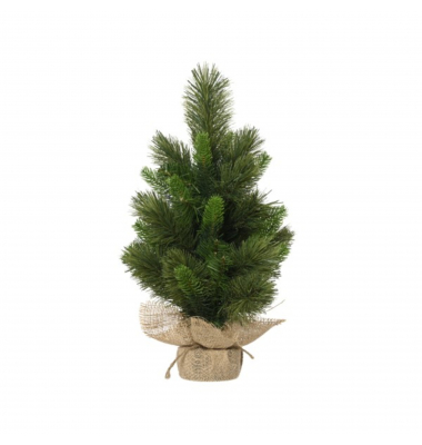Edmonton Spruce 681203 indoor