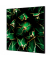 Showdown Wanddekoration Set 40x40cm Kaktus gn