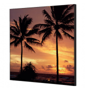 Showdown Wanddekoration Set 40x40cm Palmen Sonnenuntergang