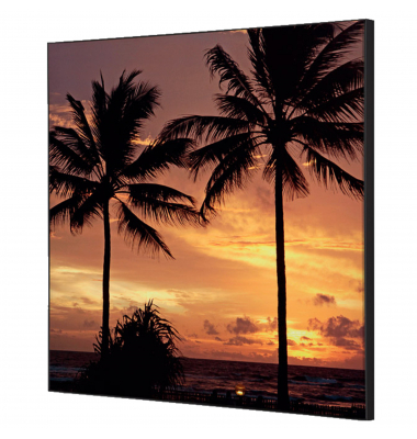 Showdown Wanddekoration Set 40x40cm Palmen Sonnenuntergang