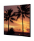 Showdown Wanddekoration Set 40x40cm Palmen Sonnenuntergang