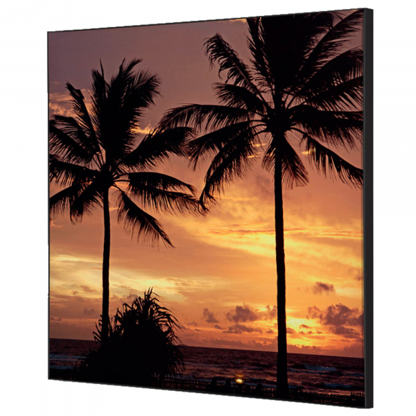 8596052181429 - Showdown Wanddekoration Set 40x40cm Palmen Sonnenuntergang 8596052181429 Showdown Displays