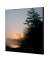 Showdown Wanddekoration Set 40x40cm Wald Sonnenaufgang