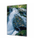 Showdown Wanddekoration Set A1 Wasserfallwald