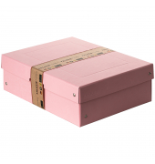 Aufbewahrungsbox PureBox Pastell 22001888, mit Deckel, au&szlig;en 24x10x32cm, Pappe pastellpink