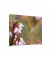 Showdown Raumteiler 150x150cm Pinke Blume Erica