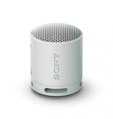 SRS-XB100 Bluetooth-Lautsprecher grau