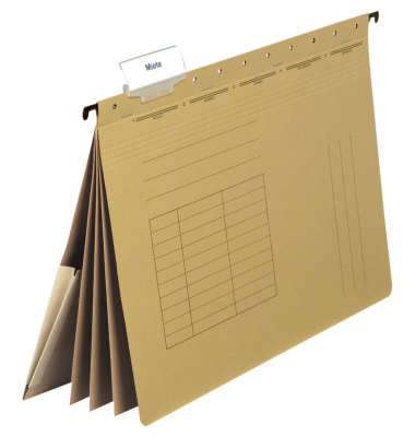 Personalakten Serie ECO 4307400, A chamois Karton 250g