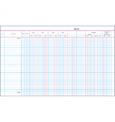 Spaltenbuch 112281 Anwaltsjournal, 995x305mm, 50 Blatt / 100 Seiten, mit Kopfleiste, 10 Spalten &uuml;ber 2 Seiten