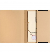 Hängehefter Classic Plus 7100913 chamois Karton 320g