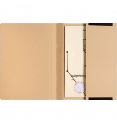 Hängehefter Classic Plus 7100913 chamois Karton 320g