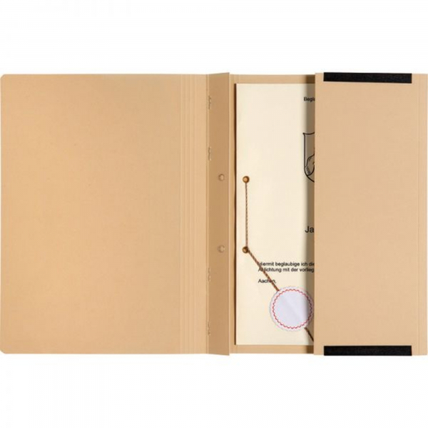 4250340506694 - Hängehefter Classic Plus 7100913 chamois Karton 320g 4250340506694 AdvoBedarf