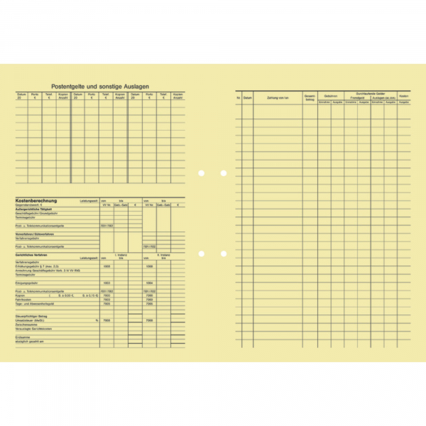 4250340510332 - Handaktenbogen 229 ch 100St 4250340510332 SoldanPlus 100 Stück