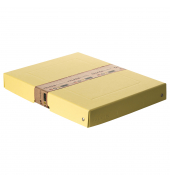Aufbewahrungsbox PureBox Pastell 22001928, mit Deckel, au&szlig;en 24x4x32cm, Pappe pastellgelb