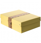 Aufbewahrungsbox PureBox Pastell 22001936, mit Deckel, au&szlig;en 24x10x32cm, Pappe pastellgelb