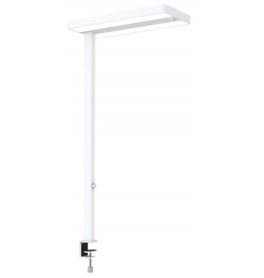 LED-Schreibtischlampe MAULjuvis, weiß, mit Klemmfuß, dimmbar