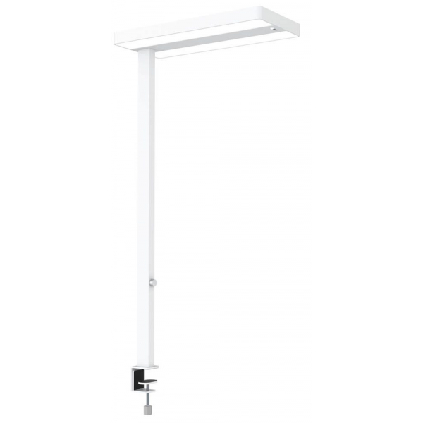 4002390087261 - MAULjuvis 8258702 LED-Tischlampe LED Lichtquelle durch Elektrofachkraft austauschbar 64 W EEK D (A - G) Weiß