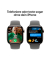 Watch Series 10 42 mm Titan (GPS+Cellular) Sportarmband SM  steingrau, natur