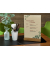 Motiv-Papier Eucalyptus - grün, braun - 100 gm² - A4 - 100 Blatt