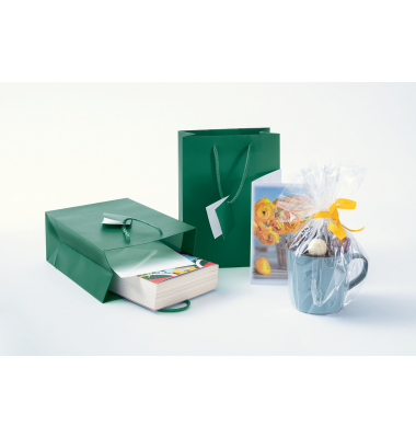 Geschenktasche GT501, allgemein, Kunststoffkordel mit Geschenkanhänger, 17cm x 23cm