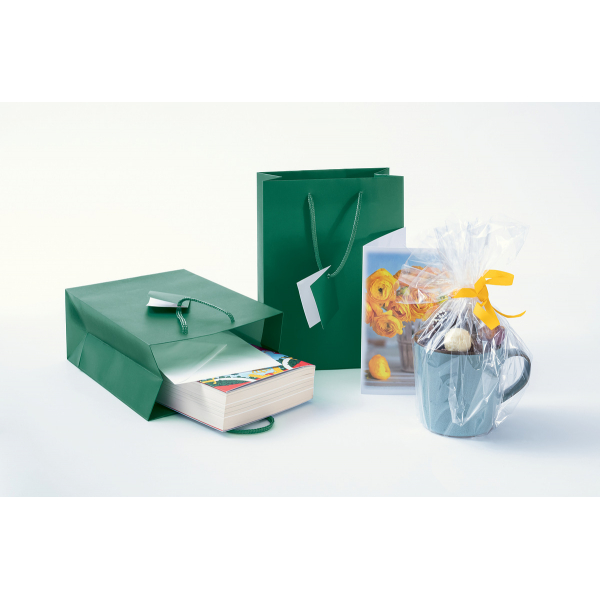 50 Stück Sigel Geschenktasche GT501, allgemein, Kunststoffkordel mit Geschenkanhänger, 17cm x 23cm 4004360797644 Sigel