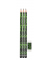 Bleistift-Set HB schwarzgrün, 1 Set