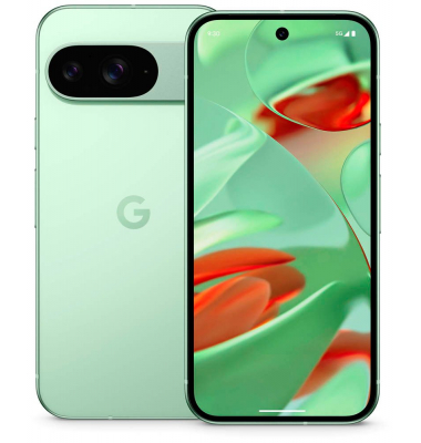 Pixel 9 Dual-SIM-Smartphone wintergrün 256 GB