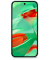 Pixel 9 Dual-SIM-Smartphone wintergrün 256 GB