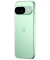Pixel 9 Dual-SIM-Smartphone wintergrün 256 GB