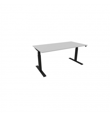 Schreibtisch eModel 3.0, elektrisch höhenverstellbar, 65-131cm (H), 160x80cm (BxT), rechteckig, platinum / schwarz