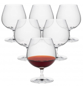 Cognacschwenker EDITION 40,0 ml