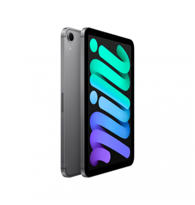 iPad mini Cellular 7.Gen (2024) 21,1 cm (8,3 Zoll) 256 GB spacegrau
