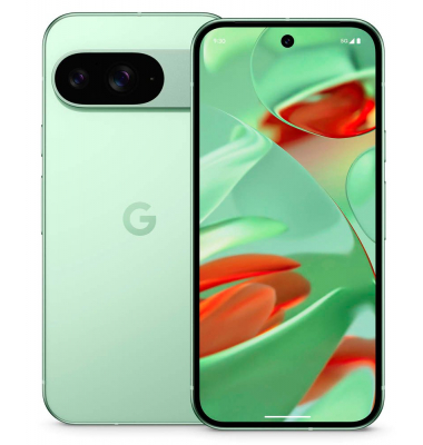 Pixel 9 Dual-SIM-Smartphone wintergrün 128 GB