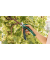 EasyPrune Gartenschere 3,6 V, mit Akkus