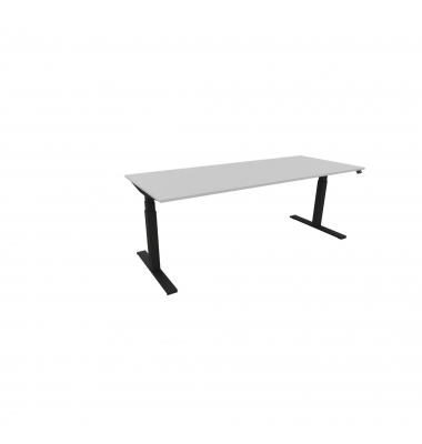 Schreibtisch eModel 3.0, elektrisch höhenverstellbar, 65-131cm (H), 200x80cm (BxT), rechteckig, platinum / schwarz