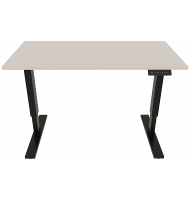 Schreibtisch E-StarterTech, elektrisch höhenverstellbar, 70-112cm (H), 140x80cm (BxT), rechteckig, lichtgrau / schwarz