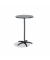 Stehtisch Duo, h&ouml;henverstellbar 72-110cm (H), &Oslash; 70cm (BxT), rund, anthrazit / anthrazit