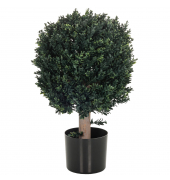 Kunstpflanze Buxus 871055